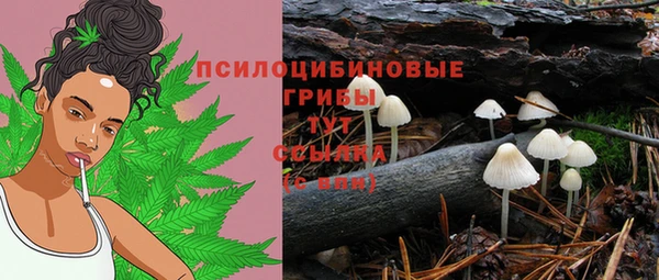 меф Анжеро-Судженск