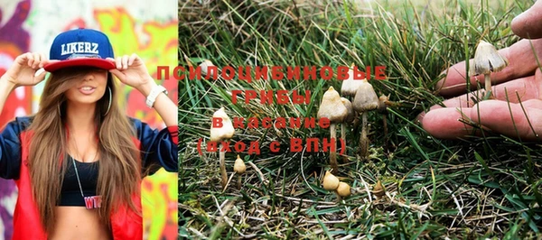 PSILOCYBIN Наволоки
