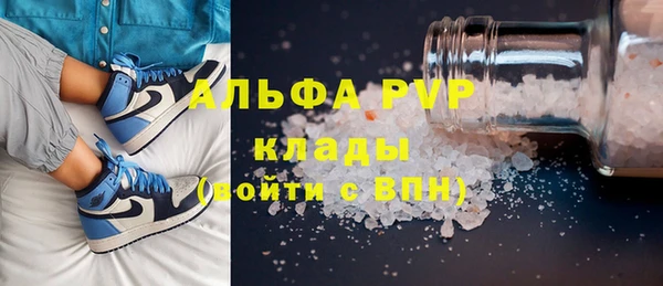прущие грибы Алапаевск