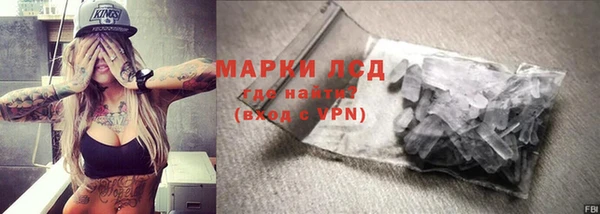 трава Новозыбков