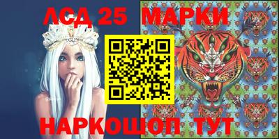спиды Донской