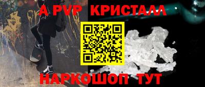 спиды Донской
