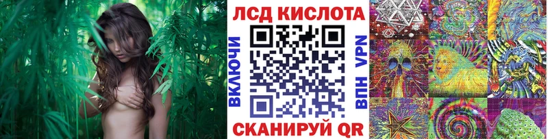 дарнет шоп  Нижнекамск  Наркотические марки 1500мкг 