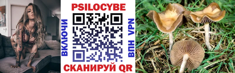 Псилоцибиновые грибы прущие грибы  Нижнекамск 